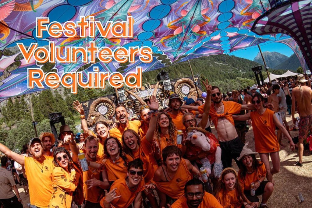 Volunteer at HIVE Festival | Psyclean Crew Germany