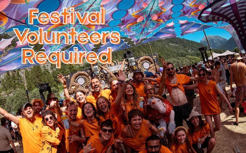 Volunteer at HIVE Festival | Psyclean Crew Germany