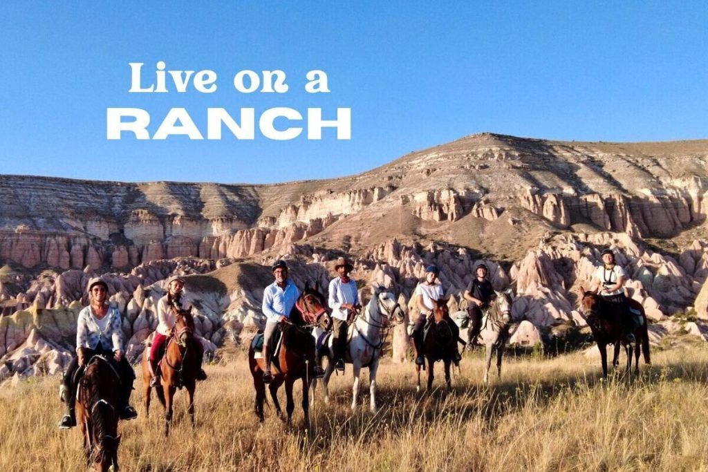 Volunteer on a Ranch in Turkey | Horse Ranch Stay