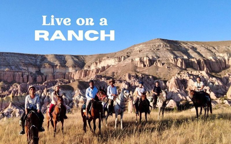 Volunteer on a Ranch in Turkey | Horse Ranch Stay