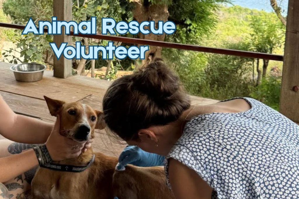 Animal Welfare Project in Mayreau | Volunteer Abroad