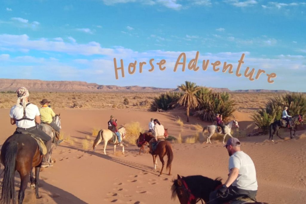 Horse Riding Volunteer in Morocco Near Agadir