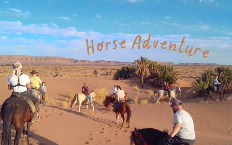 Horse Riding Volunteer in Morocco Near Agadir