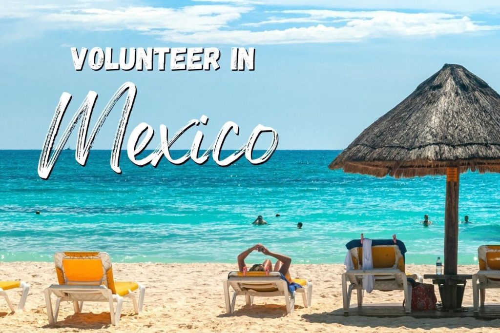 Volunteer with a Digital Nomad Community in Mexico