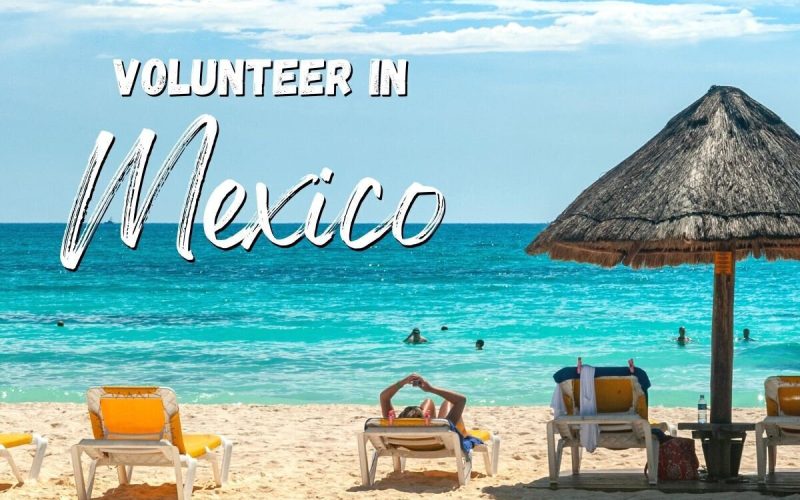 Volunteer with a Digital Nomad Community in Mexico