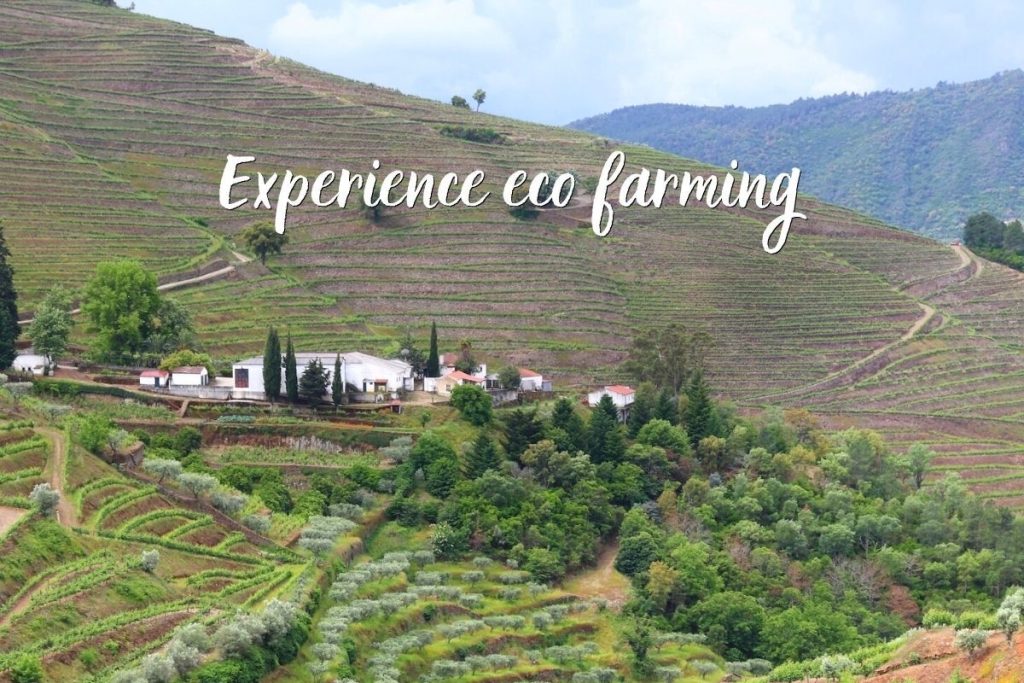 Sustainable living project in France | Eco Community