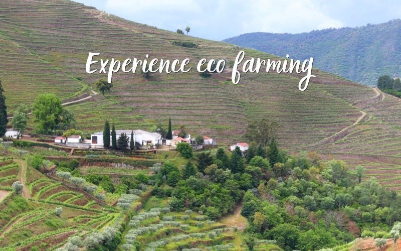 Sustainable living project in France | Eco Community
