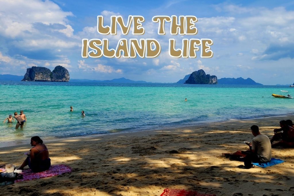 Animal volunteering in Koh Phayam, Thailand