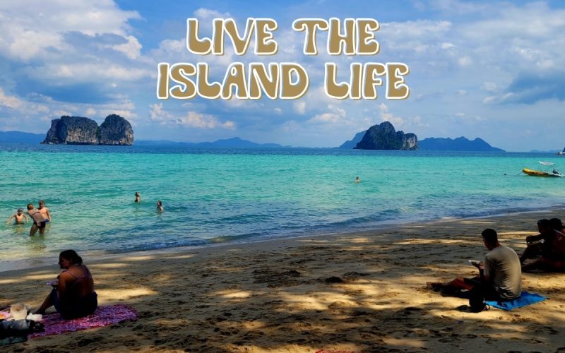 Animal volunteering in Koh Phayam, Thailand